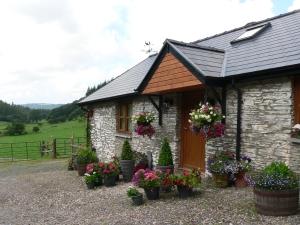Red Kite Cottage - Aberystwyth Red Kite Cottage - Aberystwyth